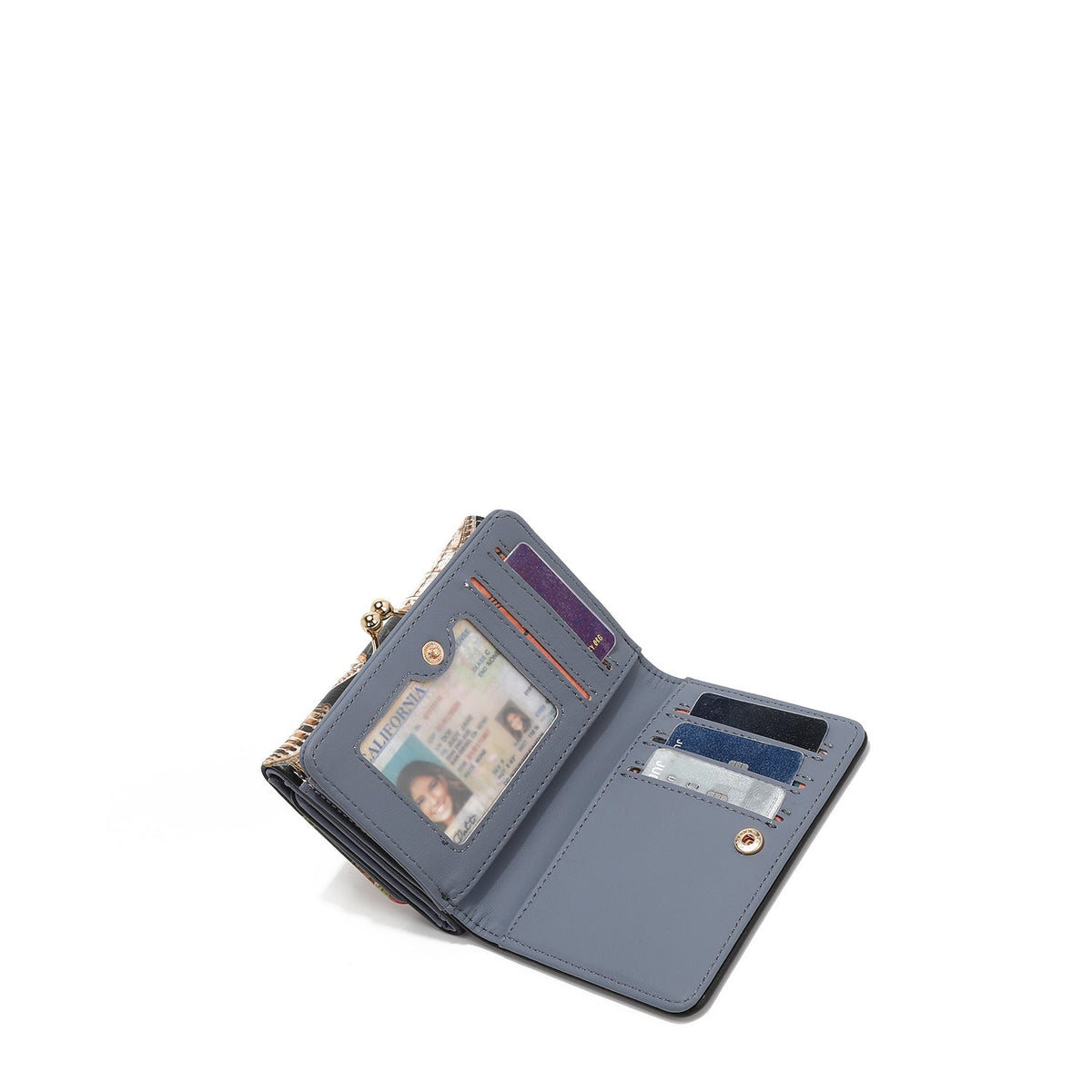 CARTERA TRIFOLD AGUSTINA (DREAM COMES TRUE)
